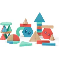 BS Toys Building Blocks GA521 – Set van 38 Houten Bouwblokken Kinderen