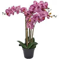Buitengewoon Boet Phalaenopsis Orchidee in pot x5 60 cm Tiger Cerise kunstplant