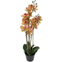 Buitengewoon Boet Phalaenopsis Orchidee in pot x3 60 cm Tiger Yellow kunstplant