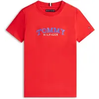 Tommy Hilfiger Shirt royal blue/koningsblauw / rood / wit