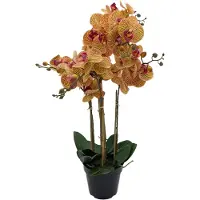 Buitengewoon Boet Phalaenopsis Orchidee in pot x5 60 cm Tiger Yellow kunstplant
