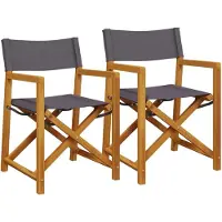 vidaXL Regisseursstoelen 2 st inklapbaar stof donkergrijs