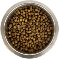 Yourdog koningspoedel pup 3 kg - Hondenvoer