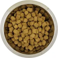 Yourdog 12 kg koningspoedel senior hondenvoer