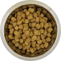 Yourdog chien français blanc et orange volwassen - 12 kg - Hondenvoer