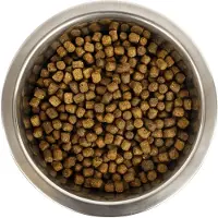 Yourdog dwerg- of toypoedel pup 3 kg - Hondenvoer