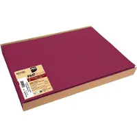 PROnappe Spunbond Placemats bordeaux 30 x 40 cm (100 stuks)