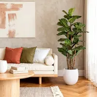 Maxifleur Kunstplanten Lyrata deluxe kunstboom 165cm