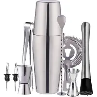 INF Cocktailset Dubbele shaker 750ml RVS Zilver 10 delig