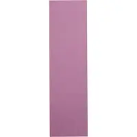 Leitz Ruiterstrook Karton Rood 6 x 2,1 cm Alpha 100 Stuks