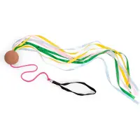 BS Toys Poi Slinger - Dansen - Bewegen - Cadeau Kind - Met gekleurde linten