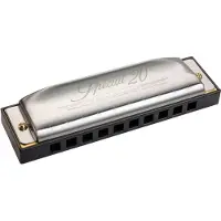 Hohner DIATONIC 560/20 SPECIAL 20 10 HOLES DB REB