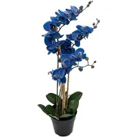 Buitengewoon Boet Phalaenopsis Orchidee in pot x3 60 cm Blue kunstplant