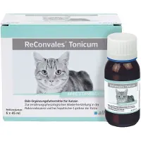 Alfavet ReConvales Tonicum Kat