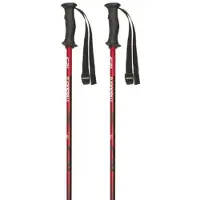 Masters Rental Carbon Stokken