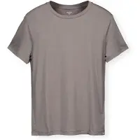 Houdini Tree T-shirt Met Korte Mouwen Grijs XS Vrouw