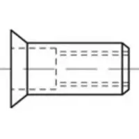 Toolcraft TO-5455194 Popmoer M8 100 stuk(s)