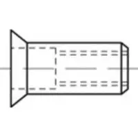 Toolcraft TO-5455200 Popmoer M10 100 stuk(s)