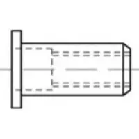 Toolcraft TO-5380458 Popmoer M8 RVS 100 stuk(s)
