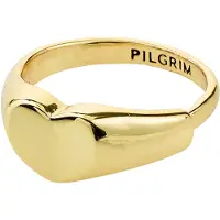 Pilgrim Ring 'Arin' goud