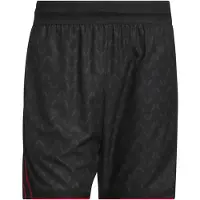 Adidas Sportbroek 'Anthony Edwards Crazy Lite' antraciet / rood / zwart