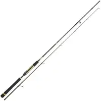 Daiwa Crosscast Shore Game Ii Jigging Rod Zilver 2.44 m / 7-28 g