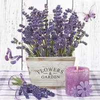 Daisy 40 Servetten - Lavendel - Kaars - Vlinder - Pot met tekst - Stippen - Paars - Beige - Lila - Groen - 33 x 33 cm - 3-Laags -