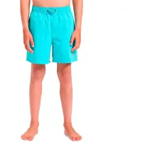 Quiksilver Spl Fineline Volley 14 Zwembroek