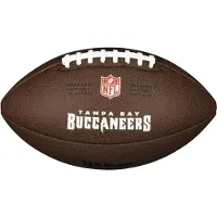 Wilson NFL Licensed Carolina Panthers American football