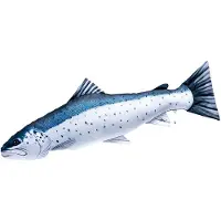 Gaby The Sea Trout Giant Pillow Wit