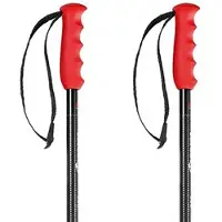 Nordica Freeride Pro Stokken