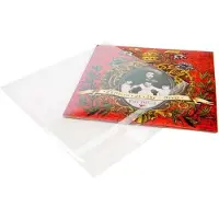 Packlinq Buitenhoezen voor 10 inch Albums en LP's 27x26,4cm