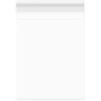 Packlinq Plastic Zakken 24x31,9cm Transparant en Hersluitbaar