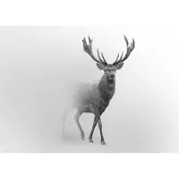 WALLARENA - Fotobehang - 300x210 cm - Herten dieren mist voor slaapkamer woonkamer behang
