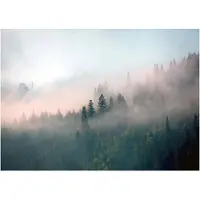 WALLARENA - Fotobehang - 250x175 cm - Natuurlijke wandtapijt met een mistig bos voor slaapkamer en woonkamer