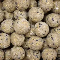 KLASEBO Vogelvoer vetbollen met insecten, 100 x ca. 90 g, zonder net, premium