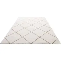 Vevor kortpolig tapijt 3048 x 2438 mm