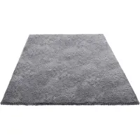 Vevor hoogpolig tapijt 3048x2438 mm