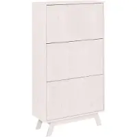 Notio Living Ohio-Schoenenkast - 2-Kleps - Wit Grenen