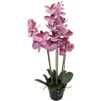 Buitengewoon Boet Phalaenopsis Orchidee in pot x3 60 cm Tiger Cerise kunstplant
