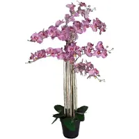 Buitengewoon Boet Phalaenopsis Orchidee in pot 110 cm Tiger Cerise kunstplant