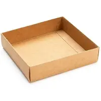 Packlinq Kraftdoosjes Bodem 10,5x2,5x10,8cm (25 stuks)