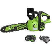Greenworks Elektrische Kettingzaag - 12V - 12 Inch - Snoeizaag – Takkenzaag – Handzaag - 1 accu's - Automatische olievoorziening - Inc. accessoires