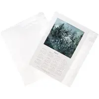 Packlinq Plastic Zakken 22x14,5cm Transparant en Hersluitbaar
