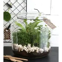 Packlinq Glazen pot met kurk Ø 18 cm en 18 cm hoog (1 st)