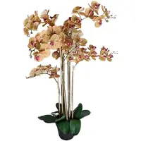 Buitengewoon Boet Phalaenopsis Orchidee in pot 110 cm Tiger Yellow kunstplant