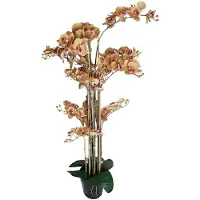 Buitengewoon Boet Phalaenopsis Orchidee in pot 140 cm Tiger Yellow kunstplant