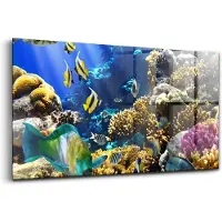 Wallfluent Glasschilderij - Foto van vissen op een koraalrif. Foto Op Glas - 140x70 cm - Veelkleurig Horizontale muurfoto - Dieren Schilderij Op Glas - Glazen Schilderij - Schilderij Glas