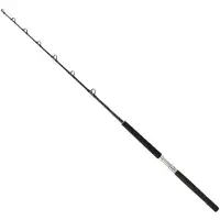 Daiwa Sealine X Trolling Rod Zilver 1.75 m / 50-80 Lbs
