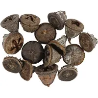 Packlinq Larikskegels, 25 gr/ 1 doos